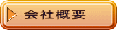 ЊTv